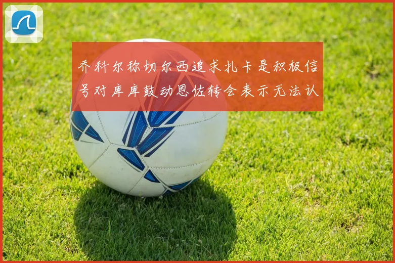 乔科尔称切尔西追求扎卡是积极信号对库库鼓动恩佐转会表示无法认同